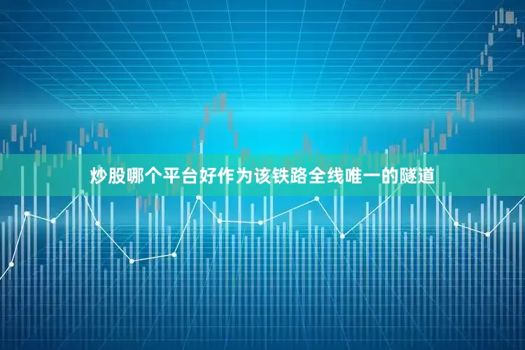 炒股哪个平台好作为该铁路全线唯一的隧道